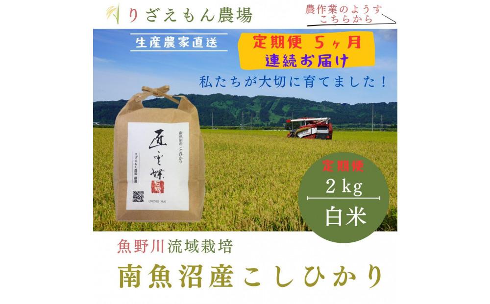 《新米予約受付》【定期便5回×2kg《合計10kg》】令和６年産　南魚沼産コシヒカリ　白米2kg＼生産農家直送／