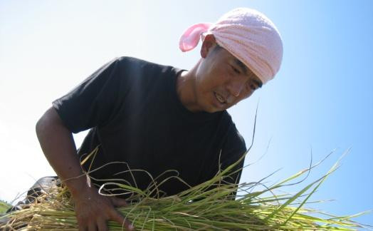 【令和７年産】南魚沼産 コシヒカリチャック付き４kg（白米２kg×２袋）