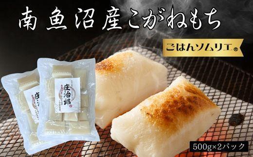 ごはんソムリエの南魚沼産こがねもち　庄治郎　500g×2袋　個包装【餅 もち 切り餅 切りもち こがねもち 個包装 国産 もち米 新潟 新潟県 お雑煮 無添加 産地直送 正月】