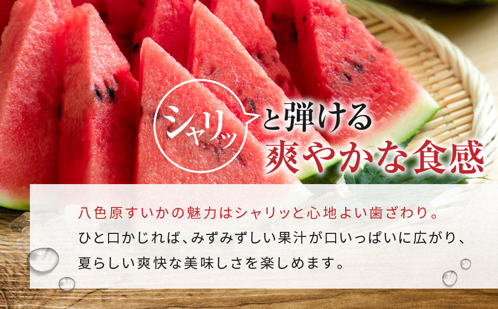 先行予約【高級】八色原すいか小玉２玉【2026年7月中旬発送】【お届け日時指定不可】