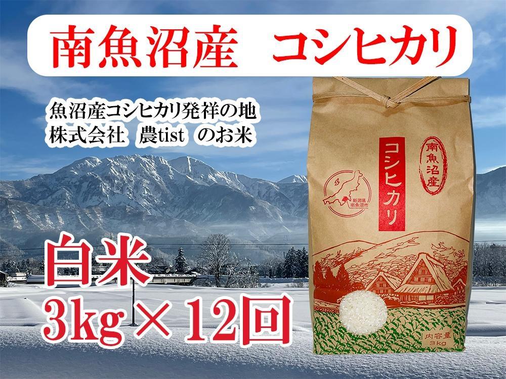 【定期便 南魚沼産】コシヒカリ 白米3kg×12回