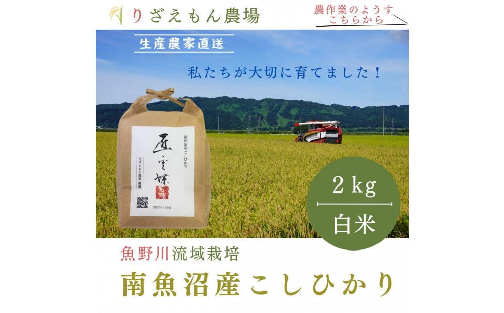 《新米予約受付》白米2kg　令和６年産　南魚沼産　コシヒカリ　こしひかり　魚野川流域　匠 雲蝶(たくみ　うんちょう）＼生産農家直送／