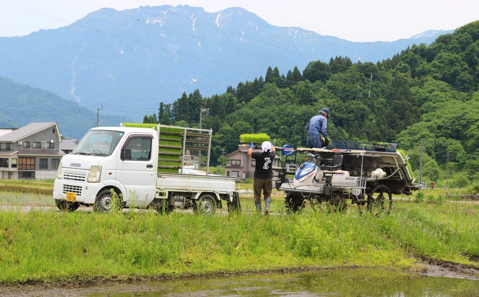 新米【令和6年産】無洗米4kg 南魚沼産コシヒカリ（2kg×2袋）農家直送_AG