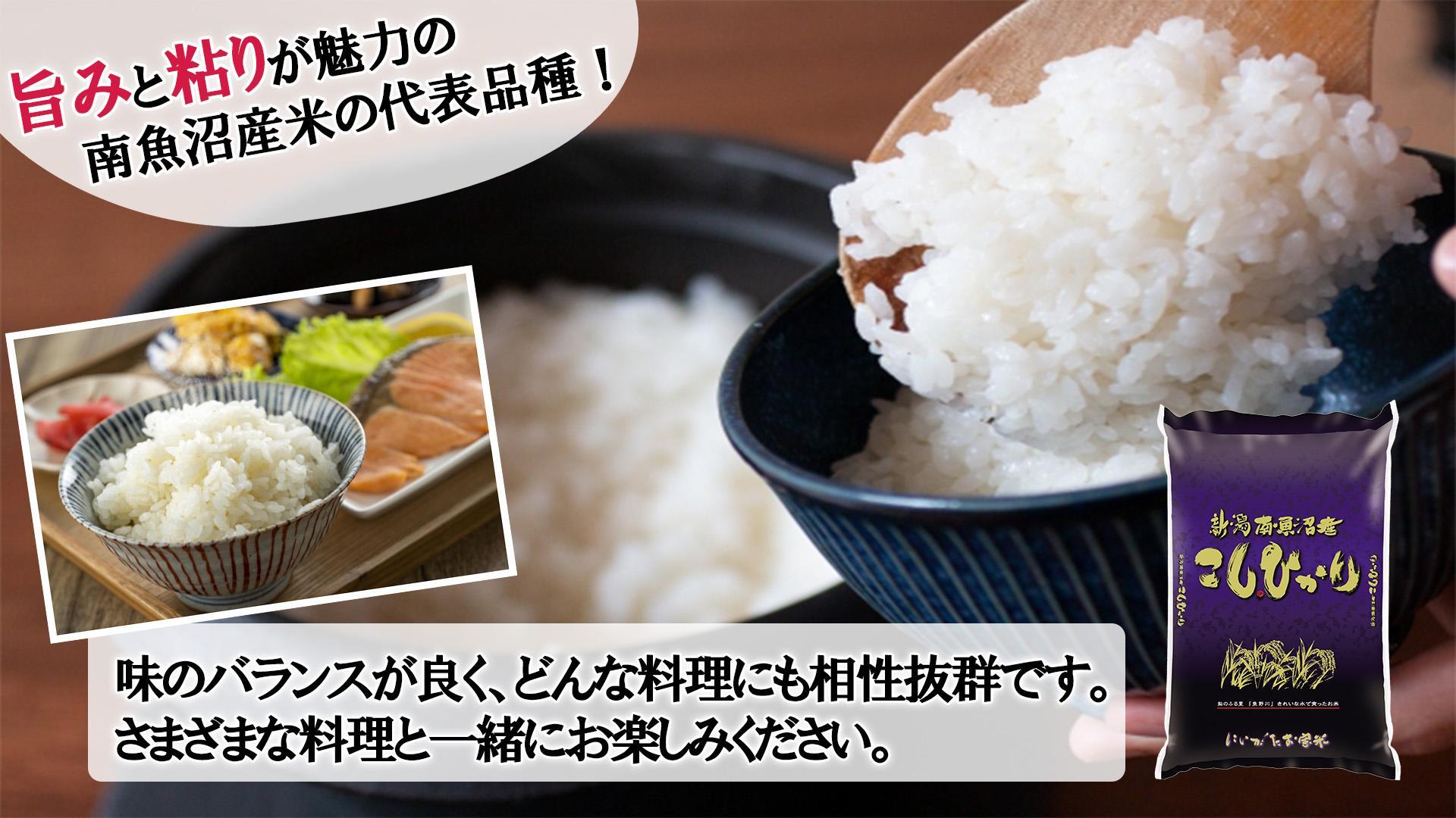 【令和6年産新米予約／令和6年11月上旬より順次発送】【B-6定期便】南魚沼産コシヒカリ2kg×6回