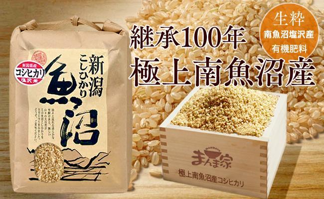 【令和7年産】【定期便】極上南魚沼産コシヒカリ（有機肥料、塩沢産）玄米10ｋｇ×全12回
