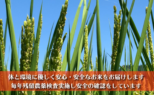 【頒布会】南魚沼産コシヒカリ　富三郎　 肥沃な大地と八海山の雪解け水が育んだ厳選米 　白米５ｋｇ全６回