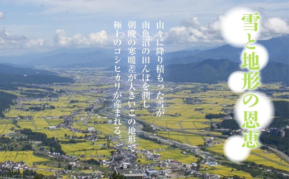 【新米発送】 令和6年産 新潟県 南魚沼産 コシヒカリ お米 2kg 精米済み（お米の美味しい炊き方ガイド付き） お米 こめ 白米 新米 こしひかり 食品 人気 おすすめ 送料無料 魚沼 南魚沼 南魚沼市 新潟県産 新潟県 精米 産直 産地直送 お取り寄せ