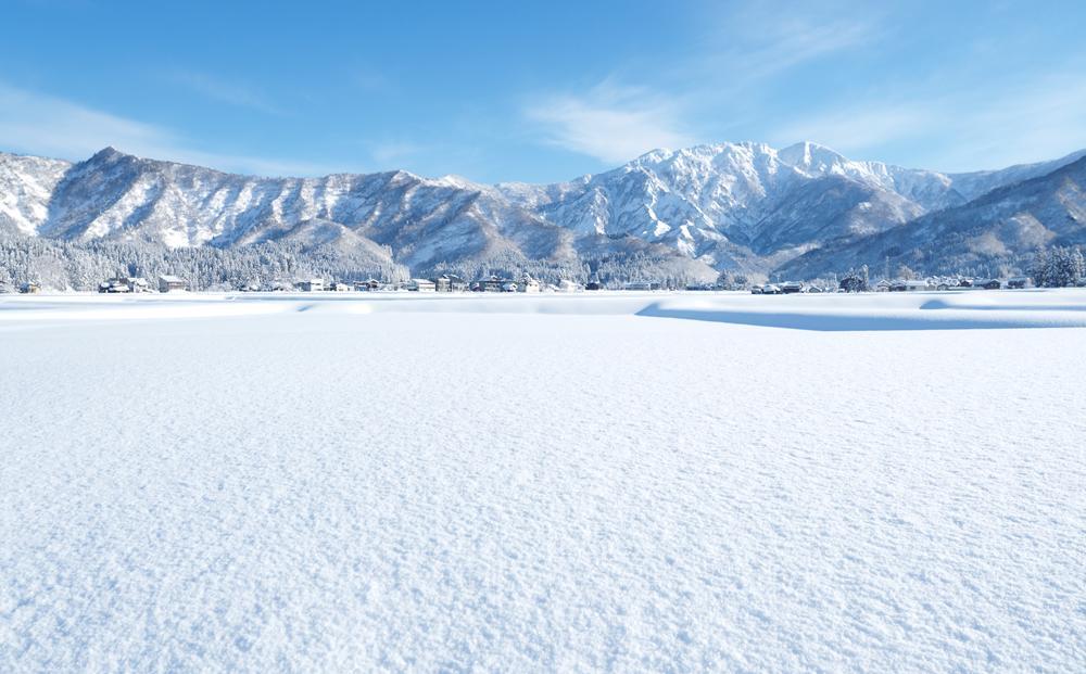 【JAみなみ魚沼定期便】特別栽培米南魚沼産こしひかり「雪穂」玄米（10kg×全12回）