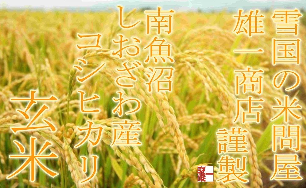 縲蝉サ、蜥7蟷エ逕」縲鯛酪邇邀ウ笳 縲仙ョ壽悄萓ソ20Kgテ6繝カ譛医 逕溽肇閠髯仙ョ 蜊鈴ュ壽イシ縺励♀縺悶o逕」繧ウ繧キ繝偵き繝ェ縲2025蟷エ10譛井ク頑流繧医j鬆谺。逋コ騾∽コ亥ョ壹