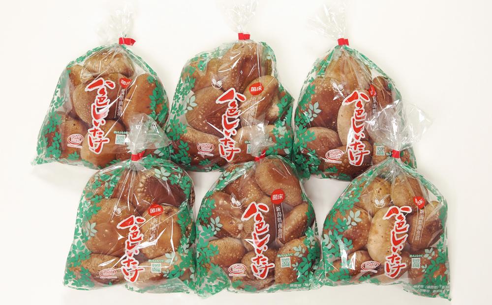 【JAみなみ魚沼定期便】家庭用「八色しいたけ」（1.5kg×全3回） 訳あり 不ぞろい 農家応援 厚いにもほどがある