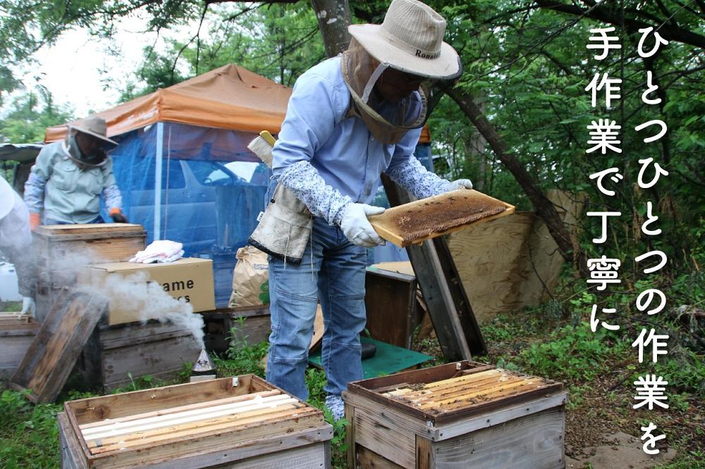 さいき養蜂園　天然ピュア蜂蜜　1kg ２種お楽しみセット