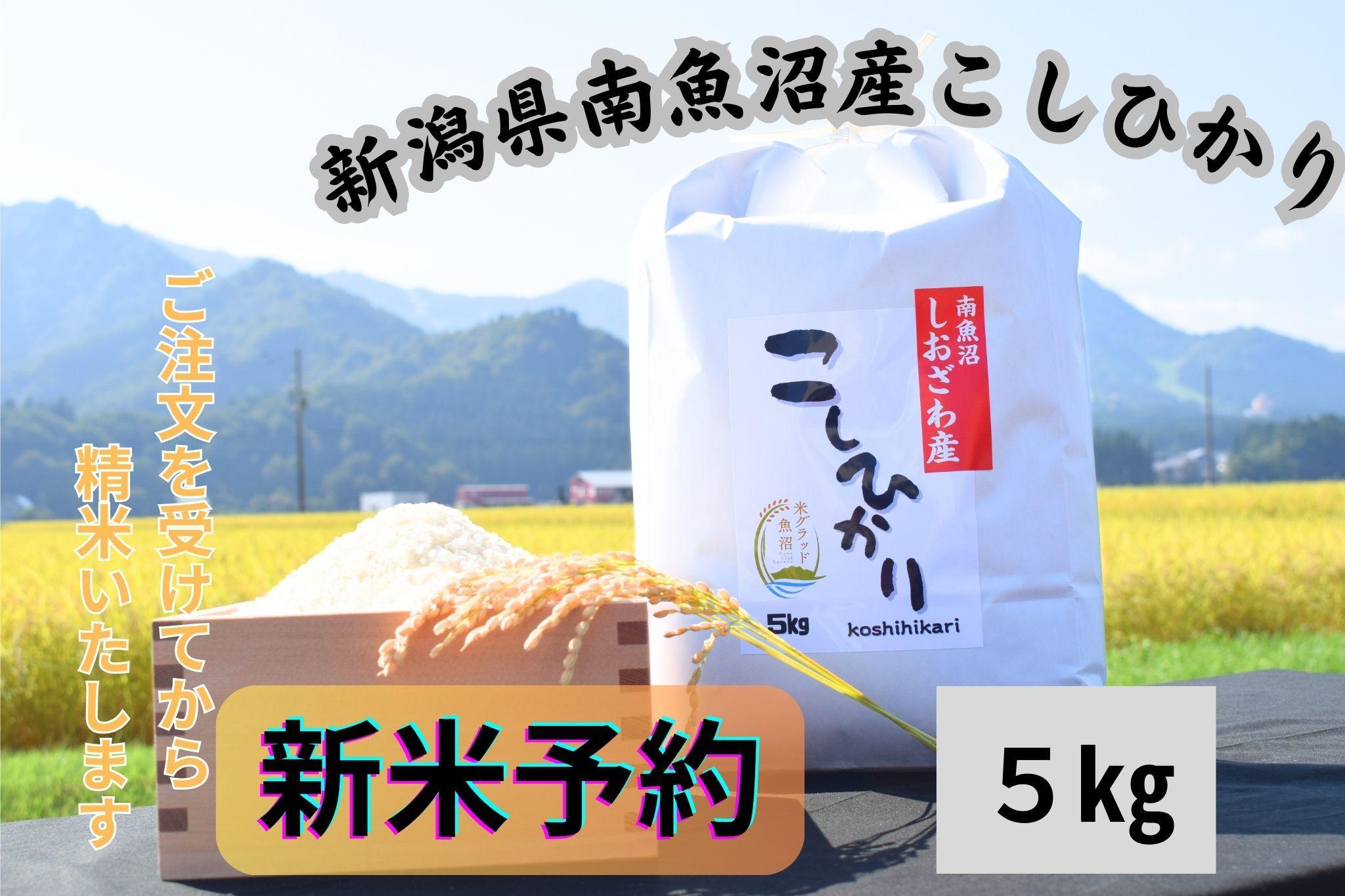 【令和8年産・新米予約】新潟県南魚沼市の豊かな自然が育んだ、極上のコシヒカリ　5kg【2026年9月下旬より1ヶ月以内に順次発送予定】