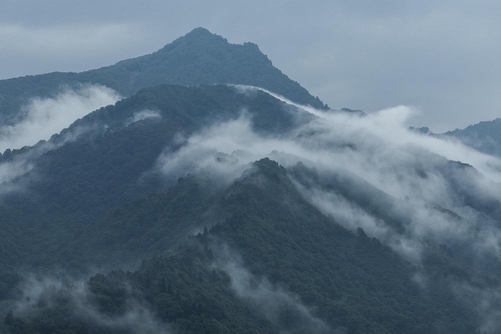 【令和7年産】【定期便】「貝瀬農園米」農薬5割減栽培　南魚沼塩沢産コシヒカリ　玄米10kg(5kg×2個)×全12回