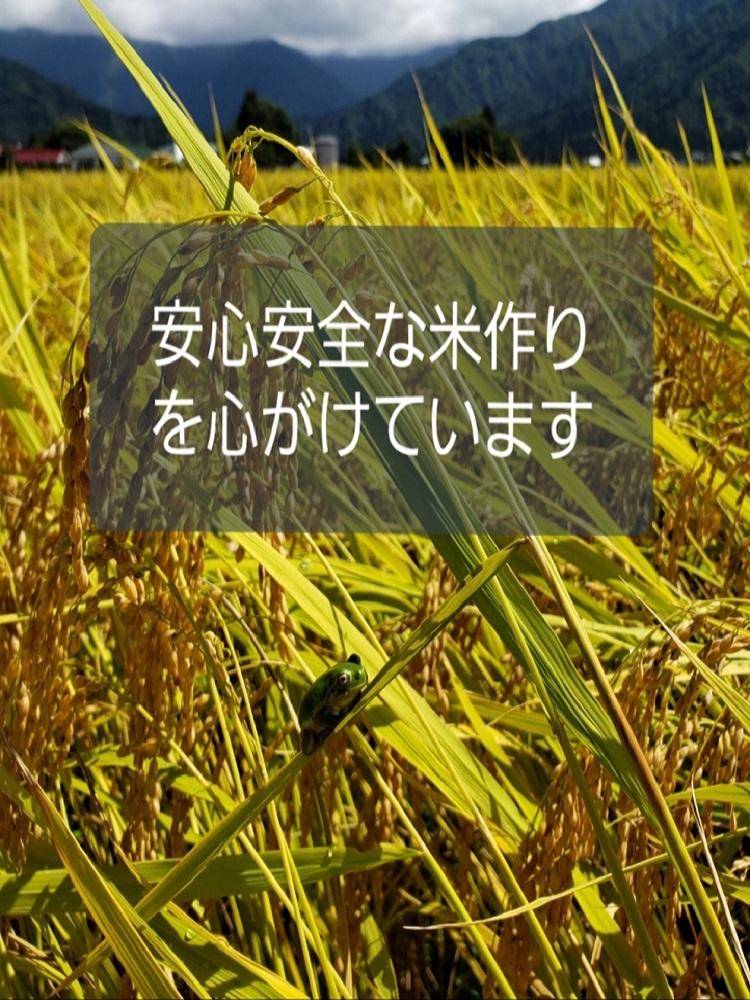 【お米定期便/全６回】南魚沼産コシヒカリ　白米１０ｋｇ