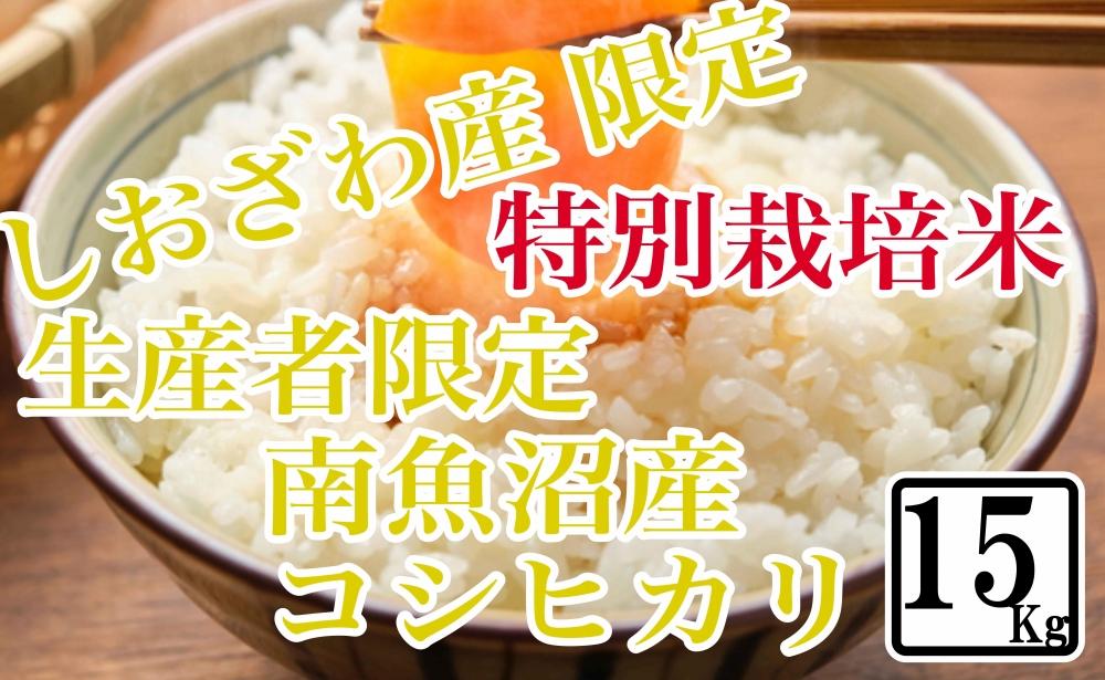【令和7年産】【精米15kg】特別栽培 しおざわ産限定 生産者限定 南魚沼産コシヒカリ