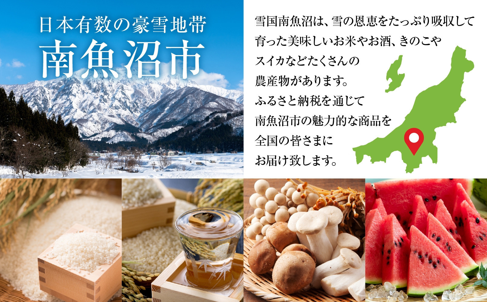510クッキー 3本入り クッキー 焼き菓子 スイーツ お取り寄せ おかしとおやき ことう 新潟県 南魚沼市