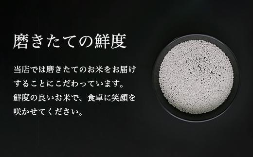 【定期便】令和6年産 南魚沼産コシヒカリ「塩沢地区限定」精米 3kg 12ヶ月連続