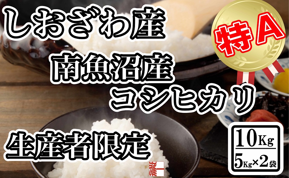 【令和7年産】生産者限定 契約栽培 南魚沼しおざわ産コシヒカリ10Kg（5Kg×2袋）【2025年10月上旬より順次発送予定】