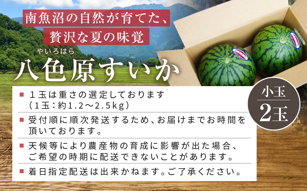 先行予約【高級】八色原すいか小玉２玉【2026年7月中旬発送】【お届け日時指定不可】