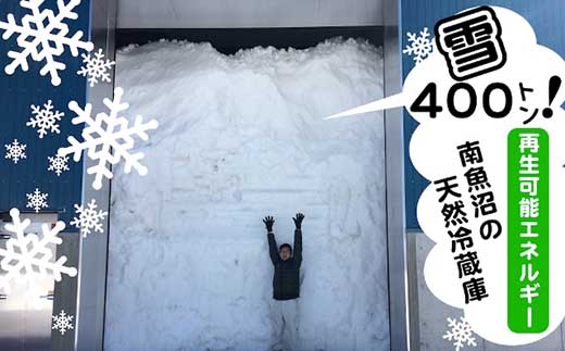 【頒布会10kg×全3回】雪室貯蔵・塩沢産コシヒカリ　生産者限定