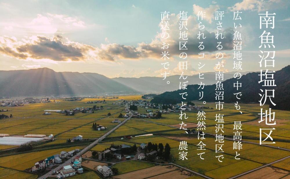 ãå®æäŸ¿ãåéæ²Œå¡©æ²¢ç£ã³ã·ãã«ãªãç¶ç¶ãã蟲è¬5岿žæ œå¹ãç¡æŽç±³10kgïŒ5kg x 2ïŒ x å
š6å