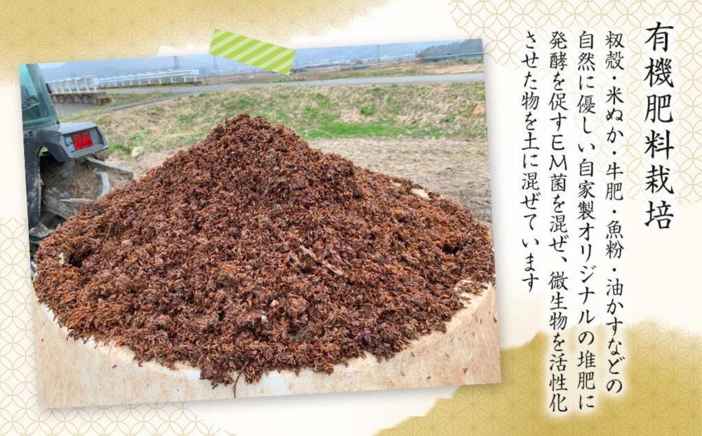 【生産者直送】【定期便６ヶ月】【令和8年産　新米予約 】  南魚沼産こしひかり 無洗米2kg×全6回　合計1２kg　オグライスファーム＜コシヒカリ 農家直送＞【2026年10月中旬から1ヶ月以内に順次発送予定】