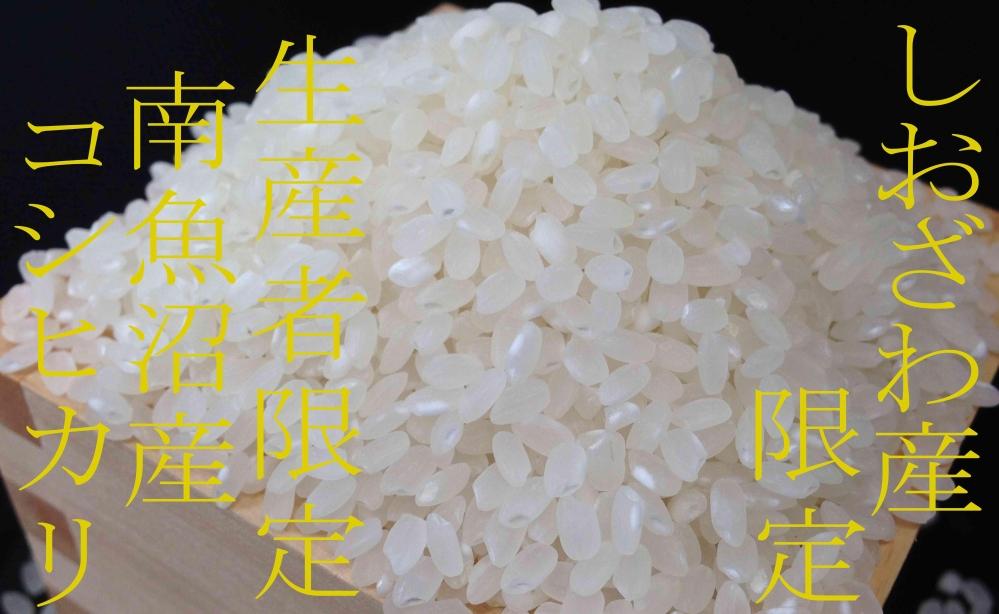 【令和7年産】【定期便6kg×6ヶ月】しおざわ産限定 生産者限定 南魚沼産コシヒカリ