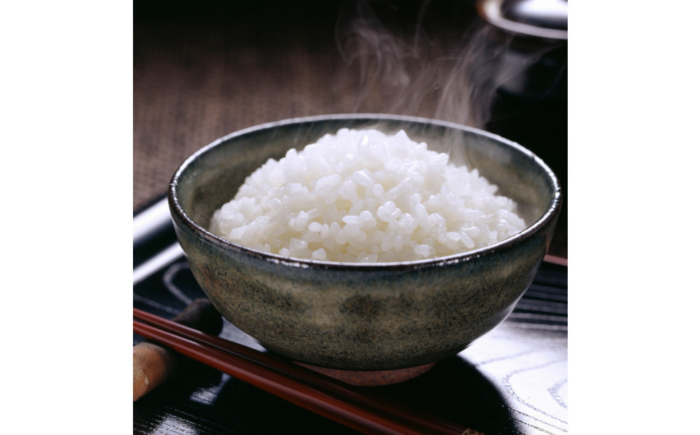 南魚沼 塩沢産 コシヒカリ パックご飯 150g 24パック