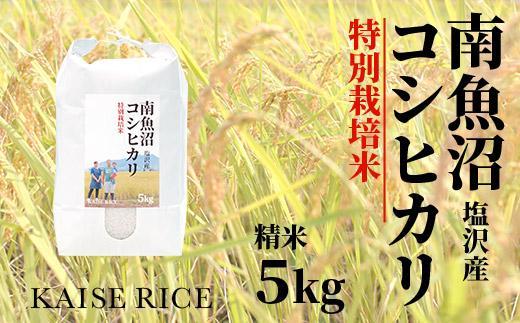 【令和7年産】南魚沼産塩沢コシヒカリ【従来品種】（特別栽培米８割減農薬）精米５ｋｇ