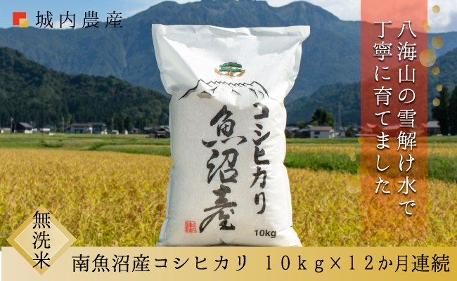 【令和７年産】【お米定期便/全１２回】南魚沼産コシヒカリ　無洗米１０ｋｇ＜５割減農薬栽培米＞城内農産【定期便 銘柄米 ブランド米 無洗米 こしひかり コシヒカリ 魚沼産 新潟米 産地直送 お米 米 こめ コメ ご飯 御飯 ごはん】