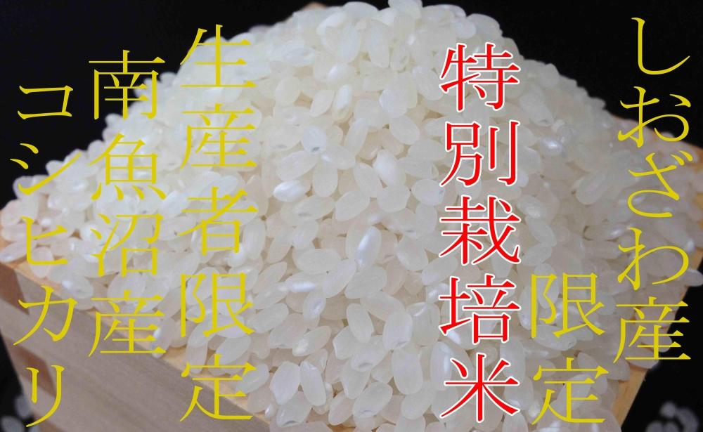 【令和7年産】【精米6kg】特別栽培 しおざわ産限定 生産者限定 南魚沼産コシヒカリ