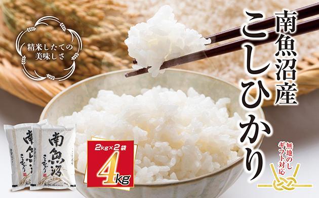 ç¡å°çšæ æ°æœç åéæ²Œç£ ã³ã·ãã«ãª ããã²ãã ãç±³ 2kg Ã2å èš4kg 粟米 éæ²Œ ç±³ çãæ¹ã¬ã€ãä»ã ãäžå
ãæ³æ® gift ã®ãã ãã¬ãŒã³ã