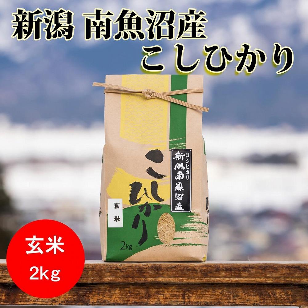 【頒布会】【令和6年産 新米予約】南魚沼産コシヒカリ（玄米2kg×全12回）【令和6年10月上旬より順次発送予定】