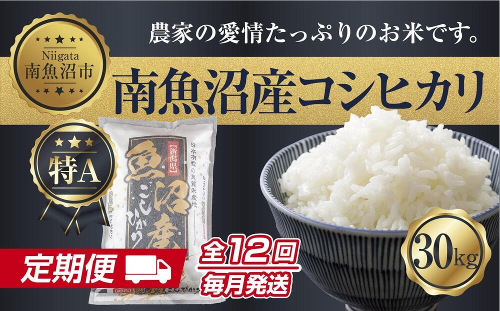 【定期便】 新潟県 南魚沼産 コシヒカリ お米30kg×計12回 精米済み 年間 毎月発送 こしひかり（お米の美味しい炊き方ガイド付き）【定期便 銘柄米 ブランド米 精米 こしひかり コシヒカリ 魚沼産 新潟米 産地直送 ごはん】