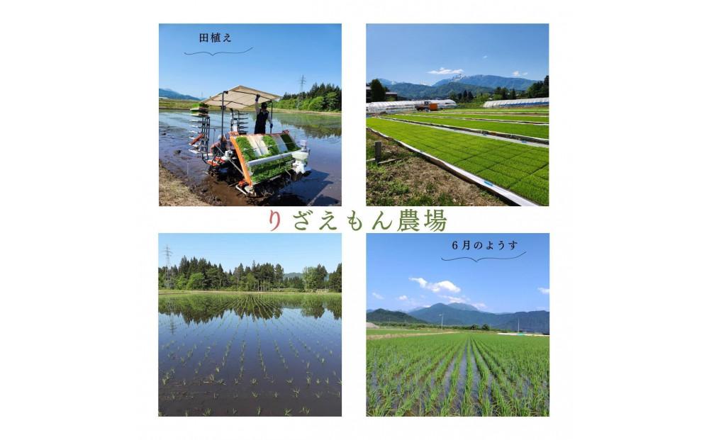 《新米》【定期便3回×5kg《合計15kg》】令和６年産　南魚沼産コシヒカリ　白米5kg　＼生産農家直送／