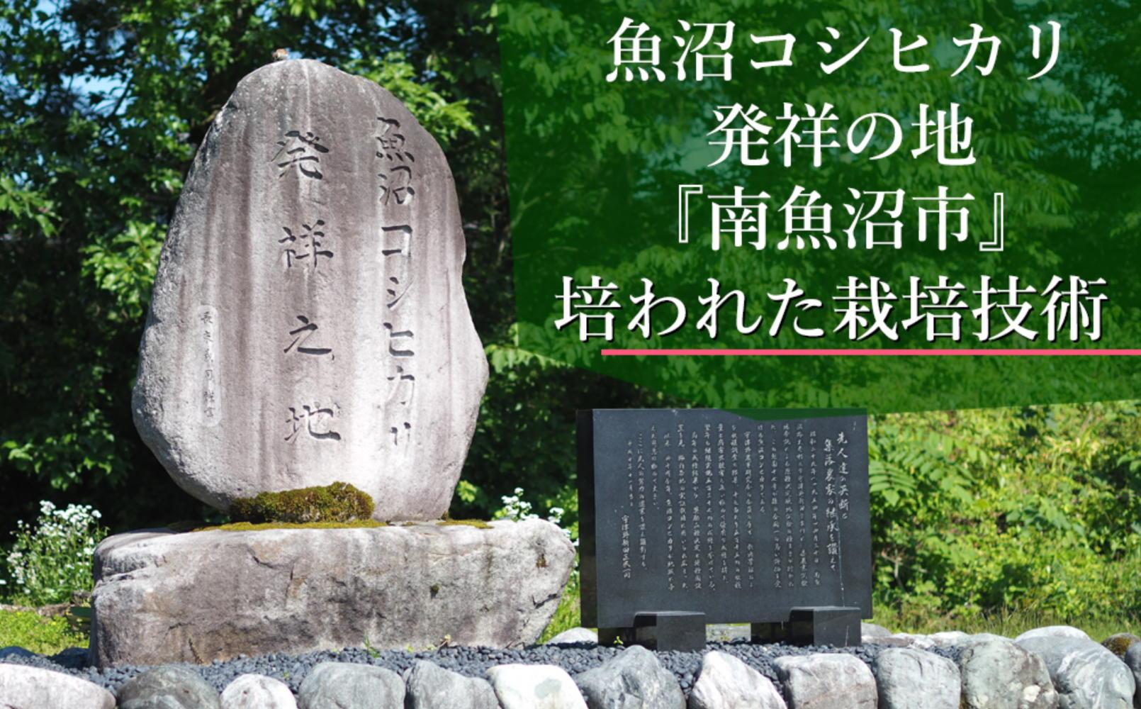 【令和5年産】南魚沼産こしひかり「窒素充填2合パック×30袋入」