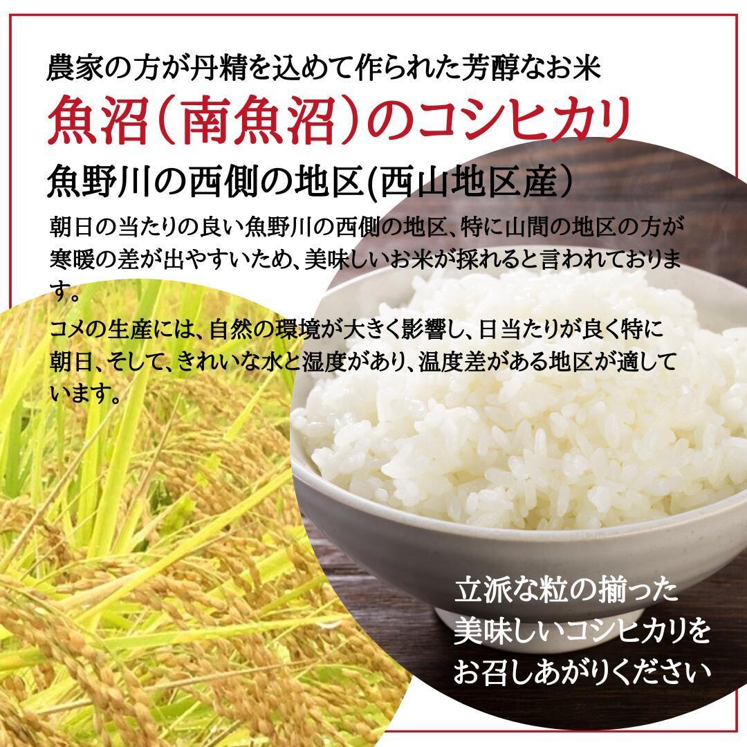 令和6年度産　南魚沼塩沢産コシヒカリ　白米　2kg