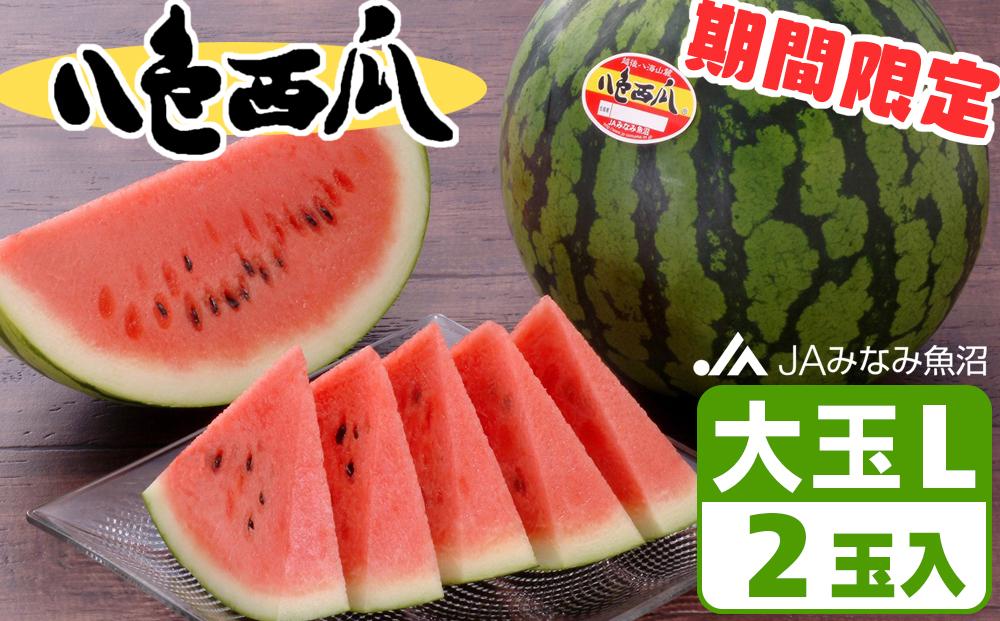 【期間限定】八色西瓜（大玉 Lサイズ) ×2玉