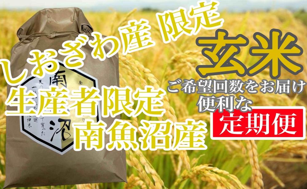 【定期便6kg×12ヶ月】玄米 しおざわ産限定 生産者限定 南魚沼産コシヒカリ