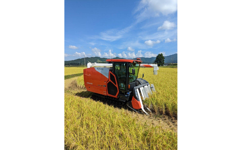 å®æäŸ¿ãã什å7幎ç£ãåéæ²Œç£ã³ã·ãã«ãªãå
«è²ã粟米5kgÃ6å