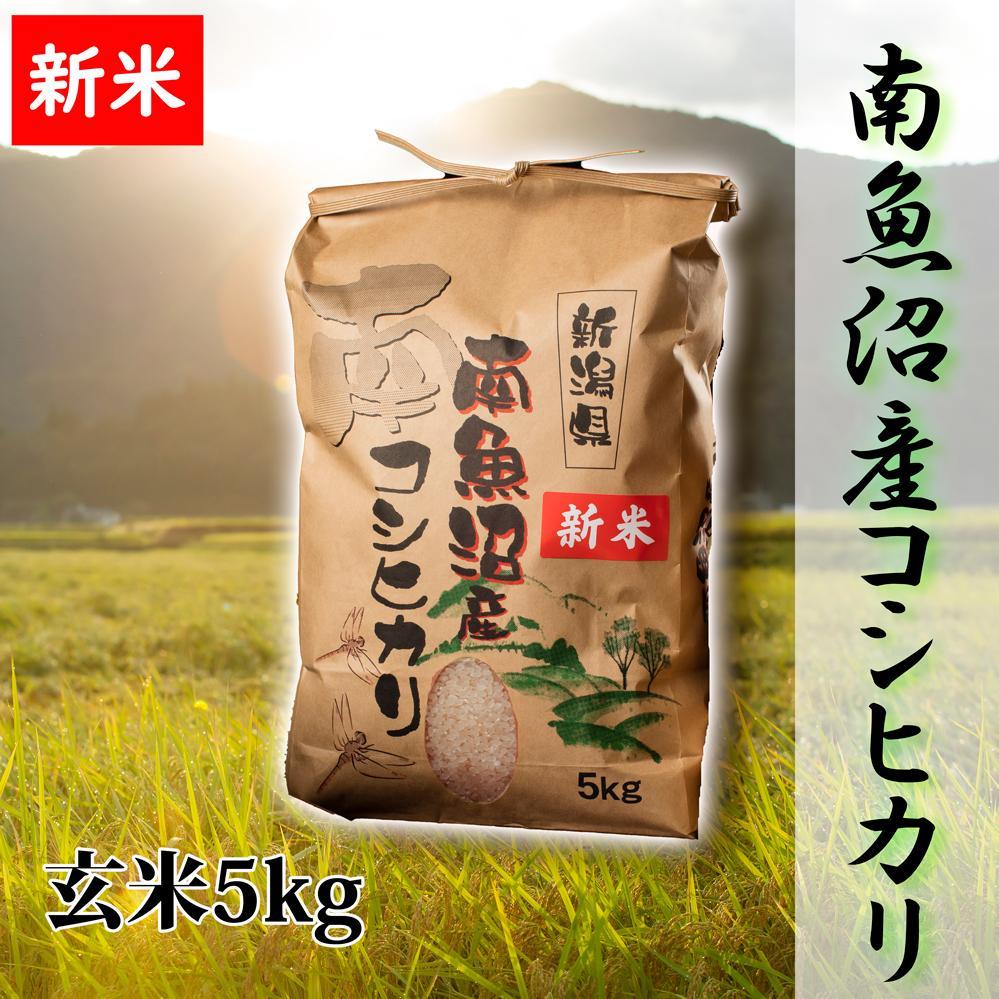 【予約】【令和6年産 新米】【高級】南魚沼産こしひかり5kg（玄米）新潟県 特A地区の美味しいお米。
