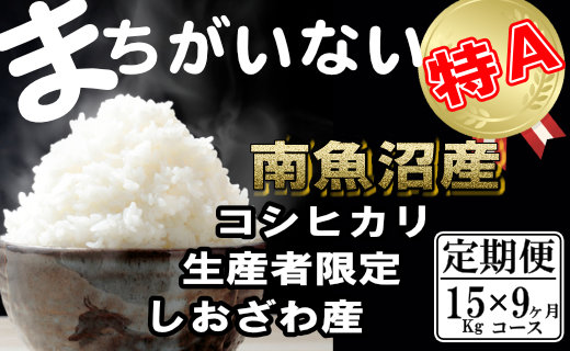 【令和7年産】【定期便】生産者限定 契約栽培　南魚沼しおざわ産コシヒカリ（15Kg×9ヶ月）