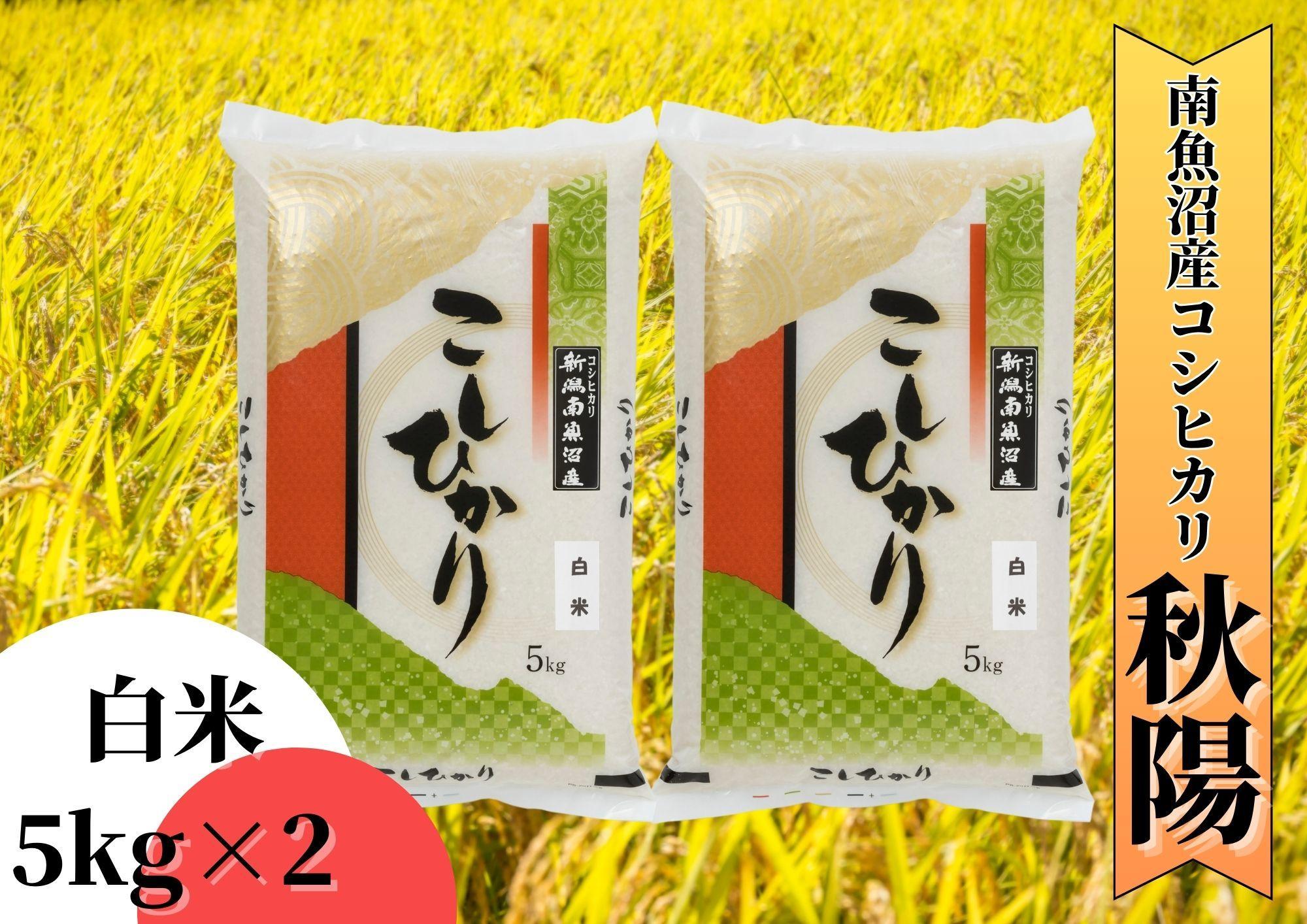 【令和7年産】南魚沼産コシヒカリ「秋陽」（白米10kg）新潟県の特A地区南魚沼市の美味しいお米