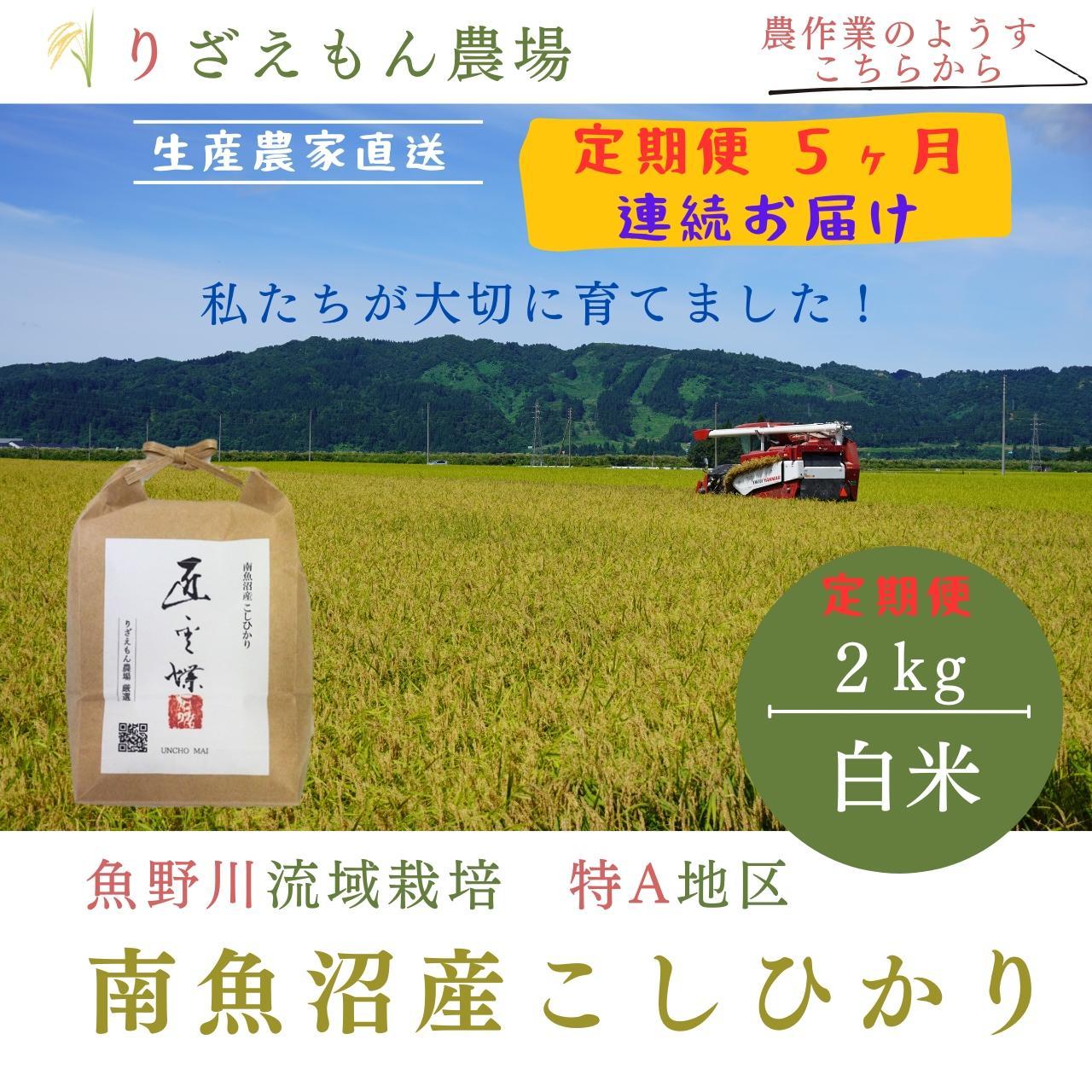 《新米予約受付》【定期便5回×2kg《合計10kg》】令和６年産　南魚沼産コシヒカリ　白米2kg＼生産農家直送／