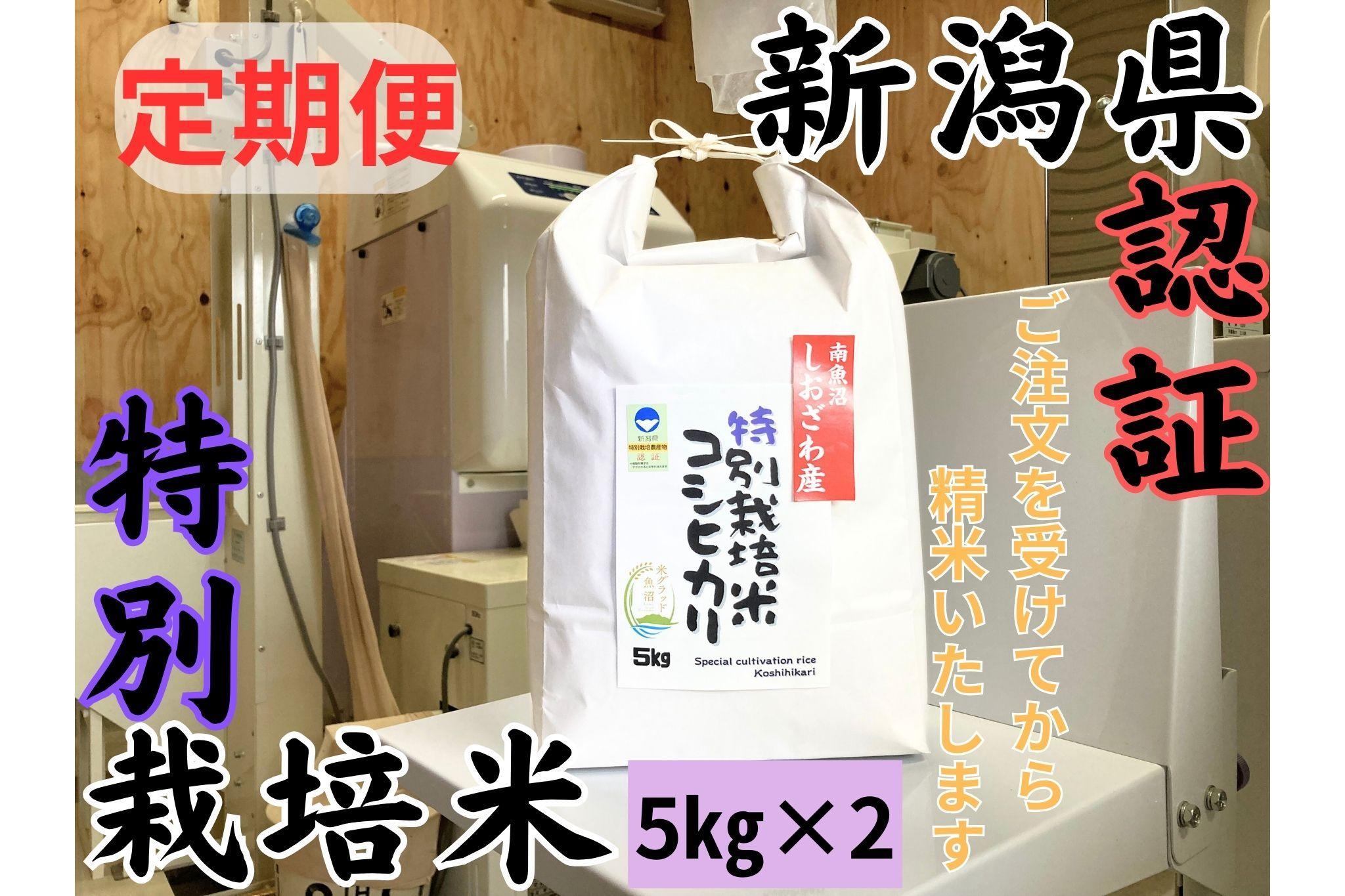 【定期便】新潟県南魚沼　しおざわ産特別栽培米コシヒカリ　10kg×６か月　新米