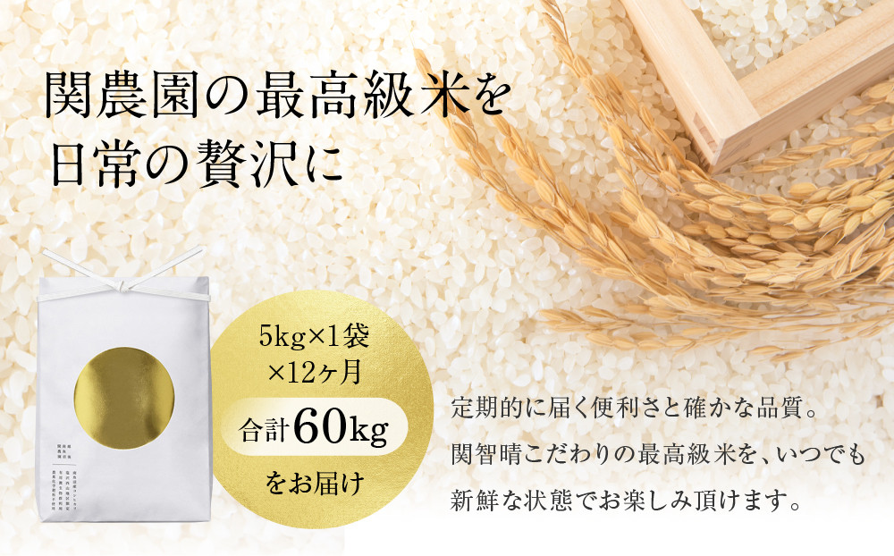 【定期便】関智晴がつくる最高級 南魚沼産コシヒカリ 金丸 ５kg ×全12回　栽培期間中 農薬化学肥料不使用【定期便 銘柄米 ブランド米 精米 こしひかり コシヒカリ 魚沼産 新潟米 産地直送 お米 米 こめ コメ ご飯 御飯 ごはん】