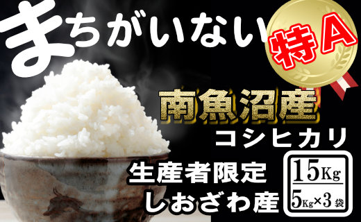 【令和7年産】生産者限定／契約栽培 南魚沼しおざわ産コシヒカリ15Kg（５Kg×3袋）
