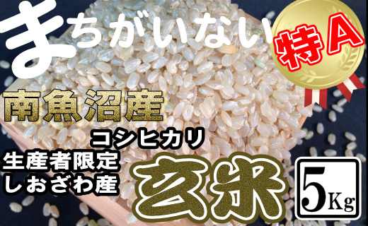 【令和7年産】玄米 生産者限定 南魚沼しおざわ産コシヒカリ5Kg