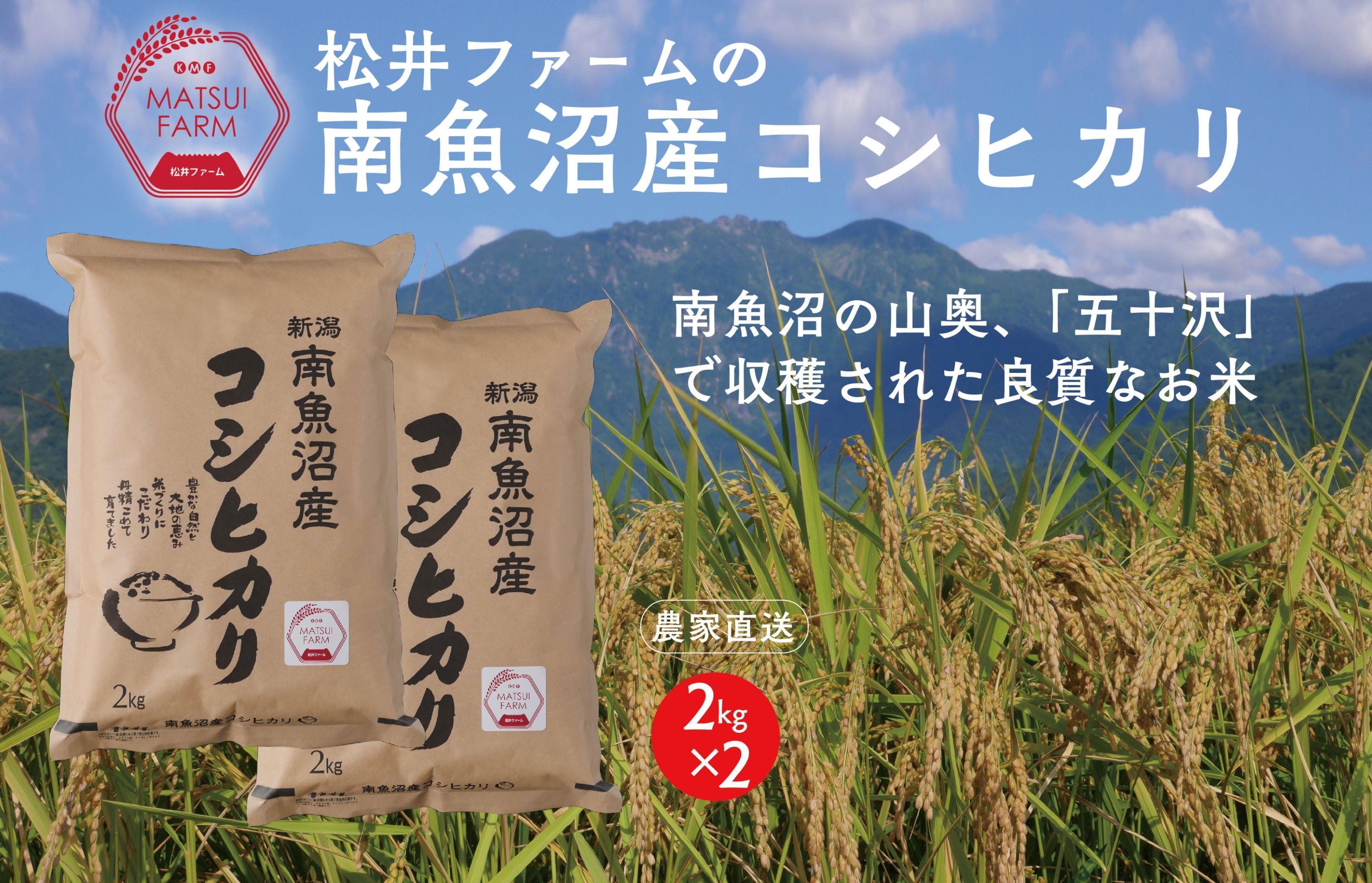 令和6年産【無洗米】南魚沼産コシヒカリ（4kg)