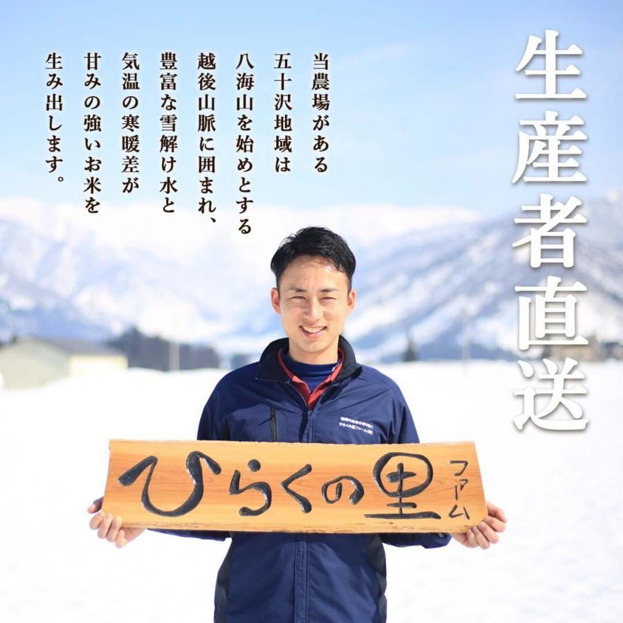 【定期便 令和6年産新米予約】（全12ヶ月）もっちり甘い！南魚沼産コシヒカリ 白米5kg×2 ひらくの里ファーム